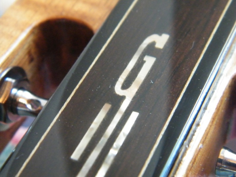 ND 10 String Logo Inlay ANZLF.jpg