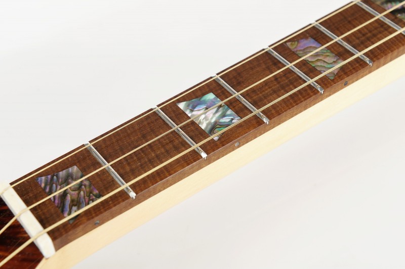 belah fretboard.jpg