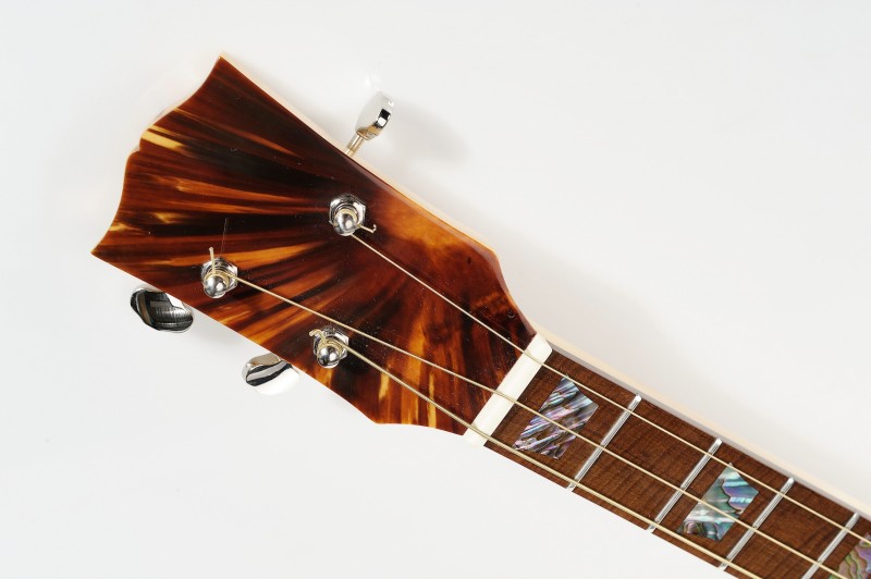 headstock 2.jpg